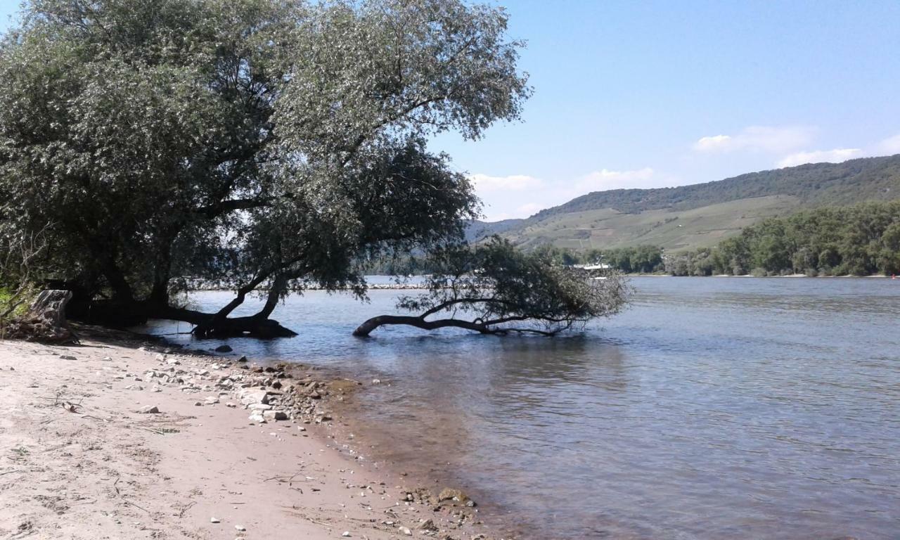 Fewo Batek Trechtingshausen Εξωτερικό φωτογραφία